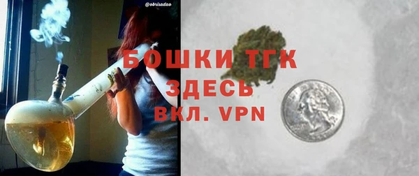 дурь Бородино