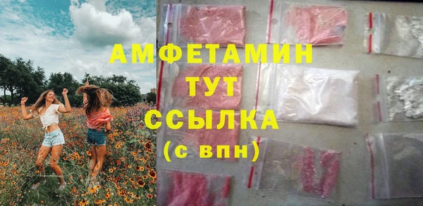 дурь Бородино