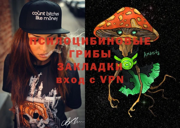 дурь Бородино
