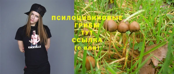 ALPHA-PVP Богородск